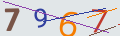 verifycode